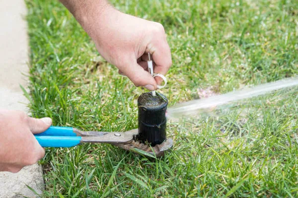 Broken Sprinklers & Tune-Ups